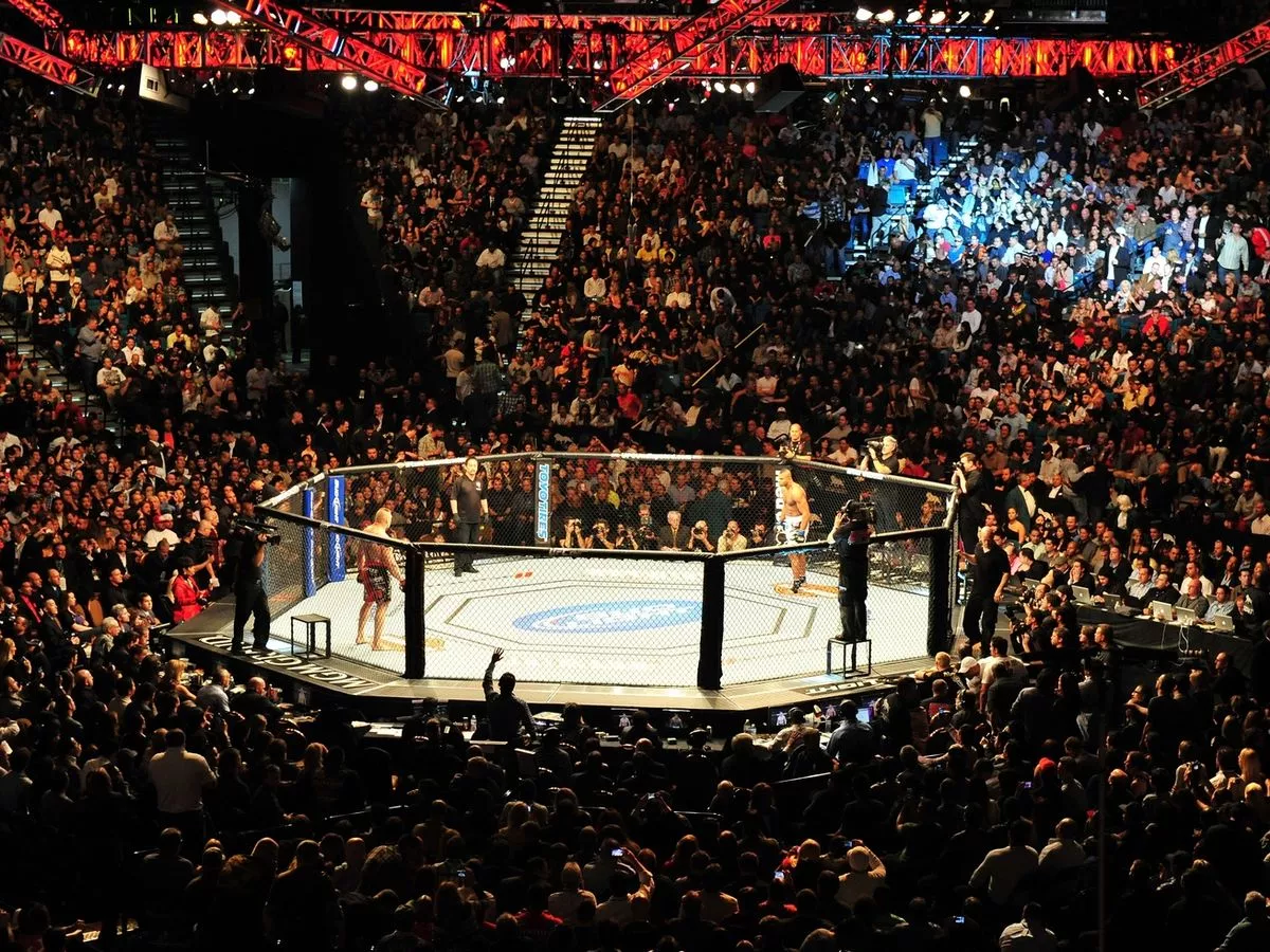 UFC-Octagon